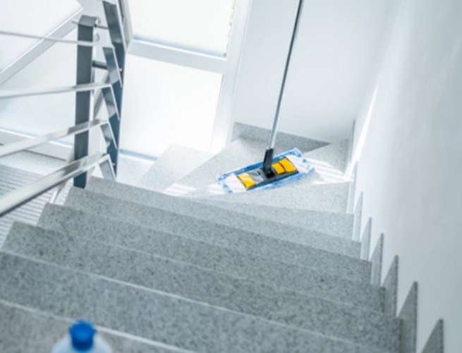 Schoonmaak van gemeenschappelijke ruimtes van gebouwen in LENDELEDE 8860