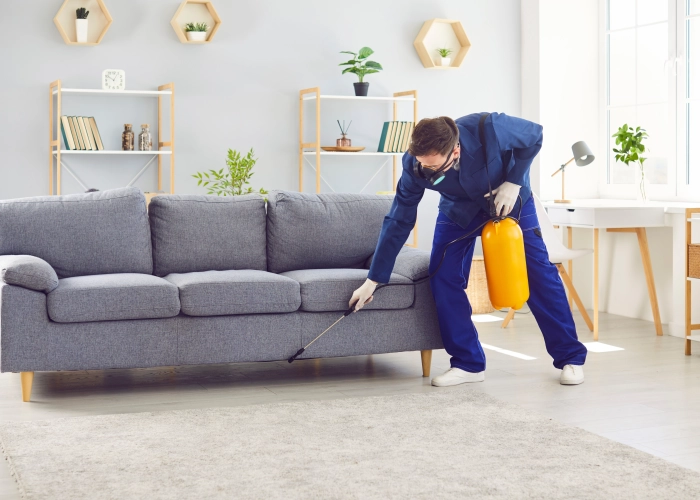 Behandeling van bedwantsen in Grammont 9500