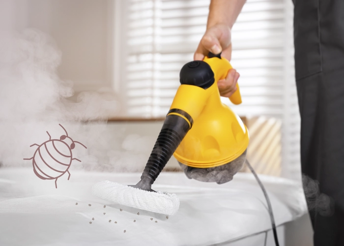 Behandeling van bedwantsen in ZWIJNDRECHT 2070